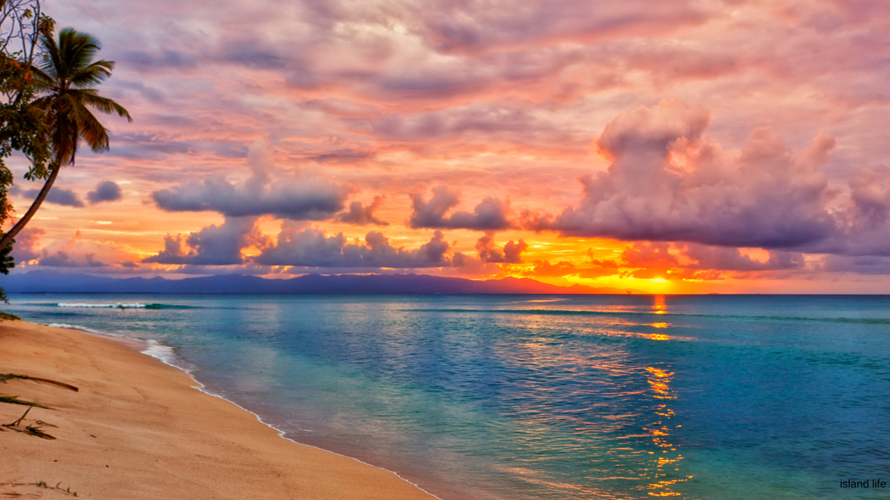 Why I Stepped Away: Healing, Vertigo, and the Power of Stillness