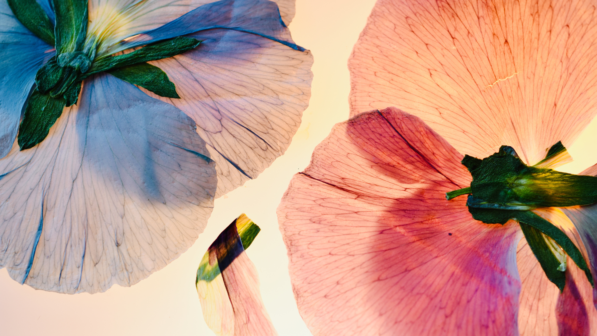 The First Step to Healing