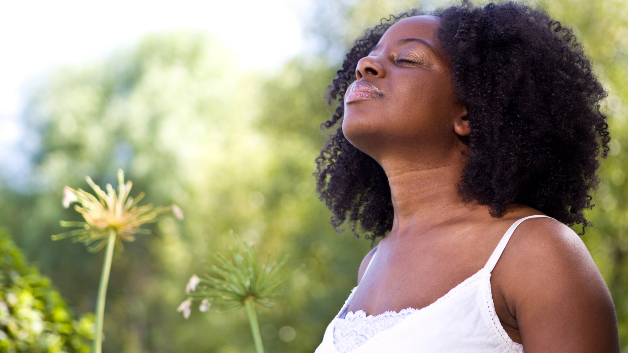 10 Effective Techniques to Calm Your Nervous System and Embrace Inner Peace