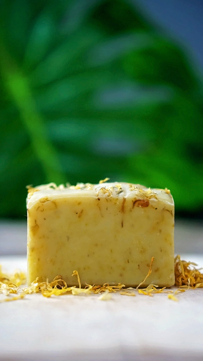 Coconut Milk Soap - Champ de Fleurs - Caribbean Skincare